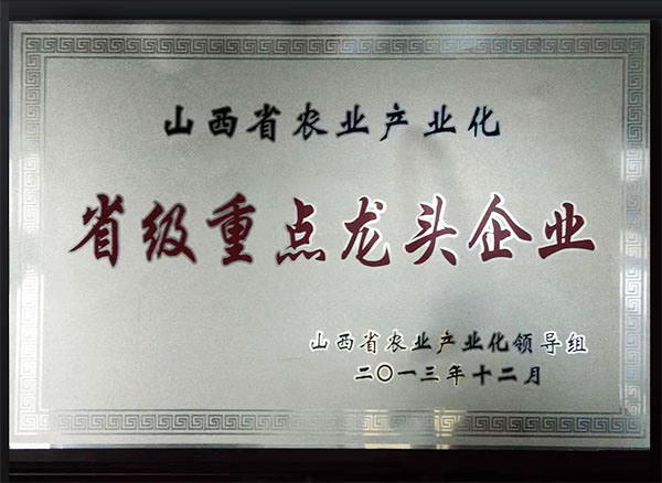 省级重点龙头企业
