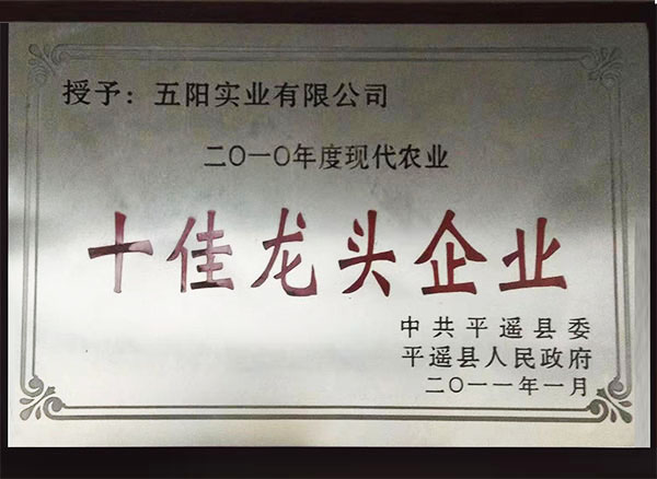 十佳龙头企业